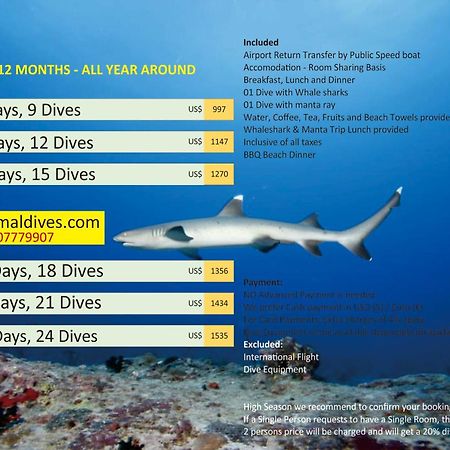 Liberty Guesthouse Maldives Mahibadhoo Εξωτερικό φωτογραφία