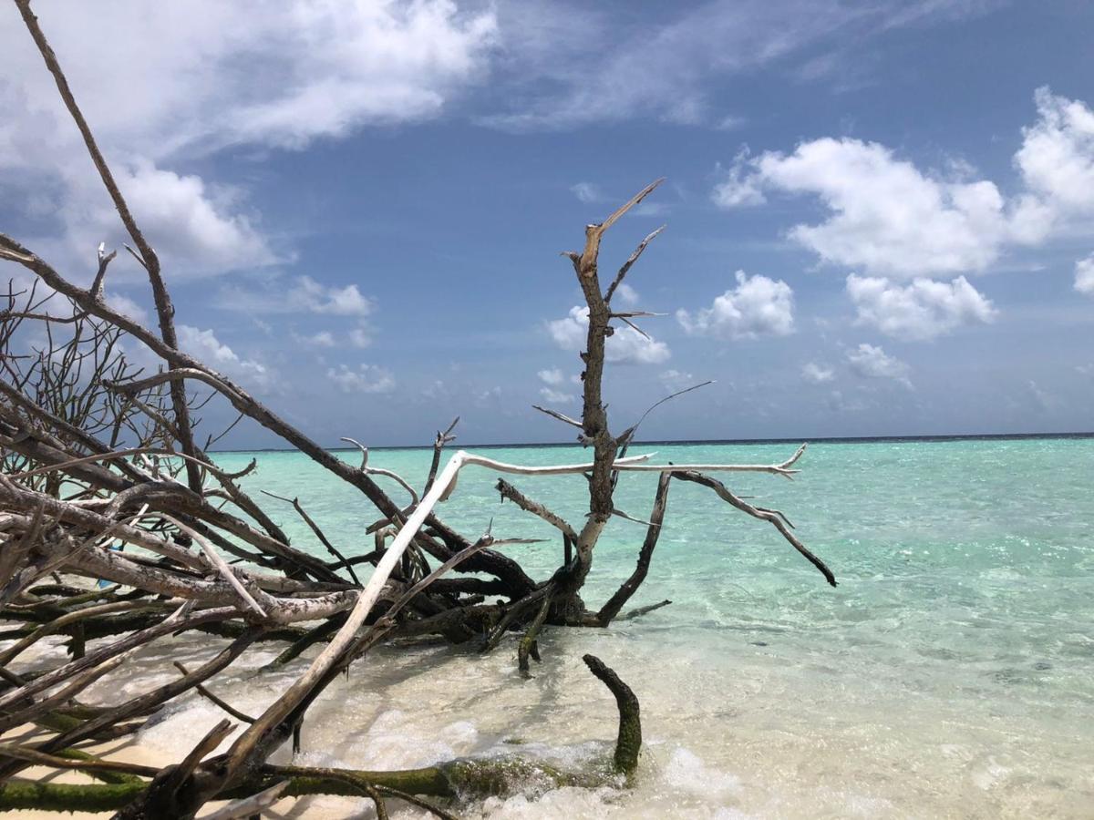 Liberty Guesthouse Maldives Mahibadhoo Εξωτερικό φωτογραφία